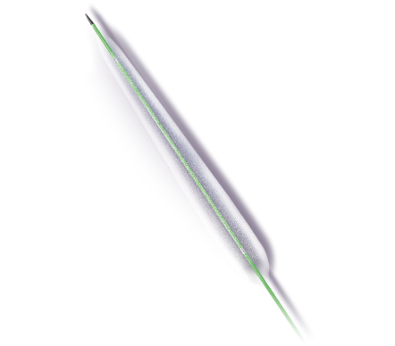 a1_img03.png